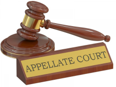 Appellate litigations 